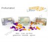 Diffusore Profumatore Outlet Car Bomboniere Gelsomino Lavanda Agrumi in Vetro con fiore Offerta Stock