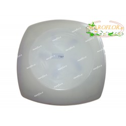 BOMBONIERE CLARALUNA 7307 PIATTO CON DECORO GLICINE