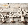 Bomboniera Claraluna 18993 Albero Vita 