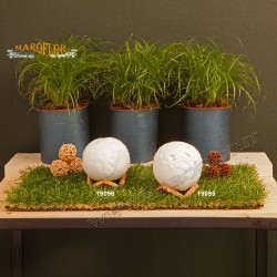 Bomboniera Claraluna 19095 Albero della Vita Led 10cm con Astuccio