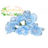 72 FIORI in ORGANZA con PERLA Azzurro Celeste 3cm diametro