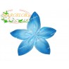 Bomboniera PortaConfetti Coccarda Azzurra 5 Petali senza Confetti e senza confezione