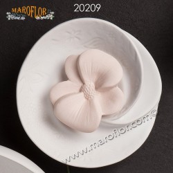 Bomboniera Claraluna CL20209 diffusore
