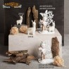 Bomboniera Claraluna CL20956F Indiano con supporto Farfalla 10cm