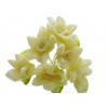 12 FIORI in ORGANZA Crema diametro 3,5cm