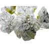72 Fiori in Organza Argento diametro 3cm