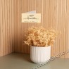 Vaso Claraluna 24016 bomboniera per matrimonio