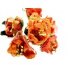 72 FIORI  Merletto e Raso Arancio diametro 3