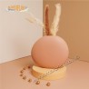 Claraluna 25015 Vaso 20cm con Pampas per bomboniera di Nozze