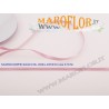 Nastro Doppio Raso Rosa Antico 6mm x 50 metri