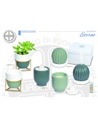 Collezione Eterno